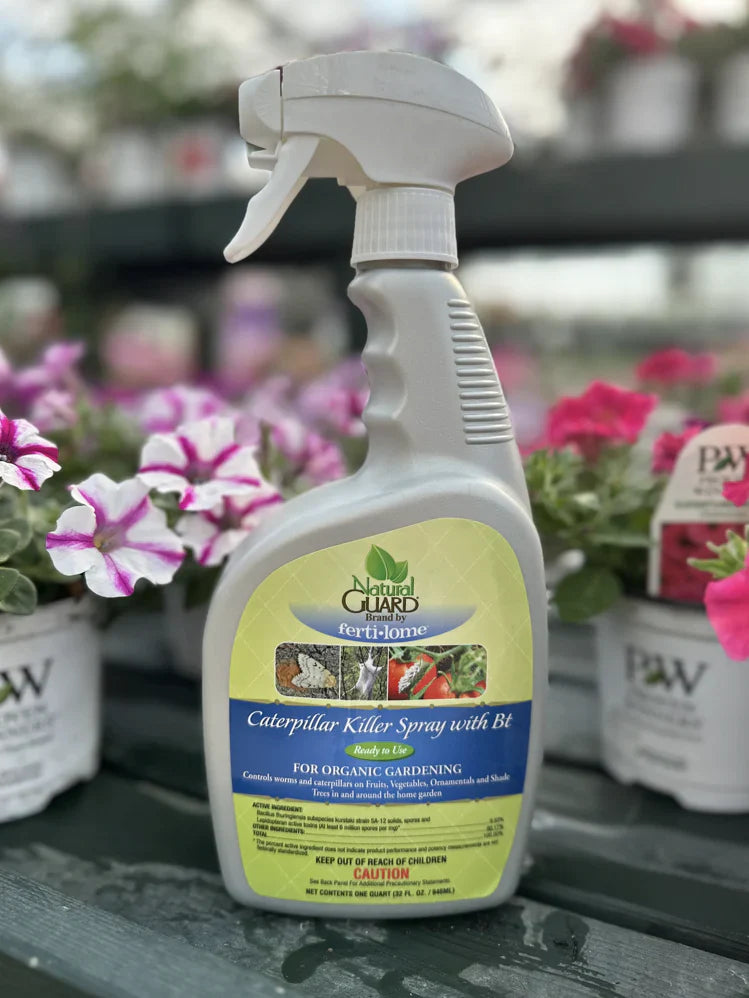 Pesky Pests!