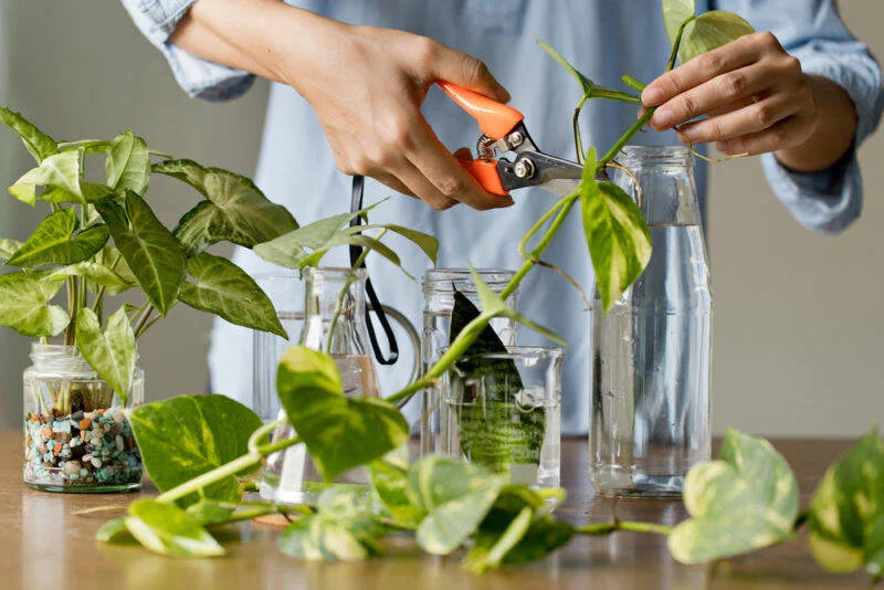 Propagation in Water: Too Much Fun!