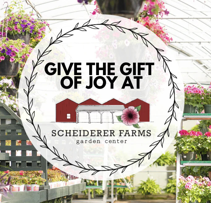 Give the Gift of Joy