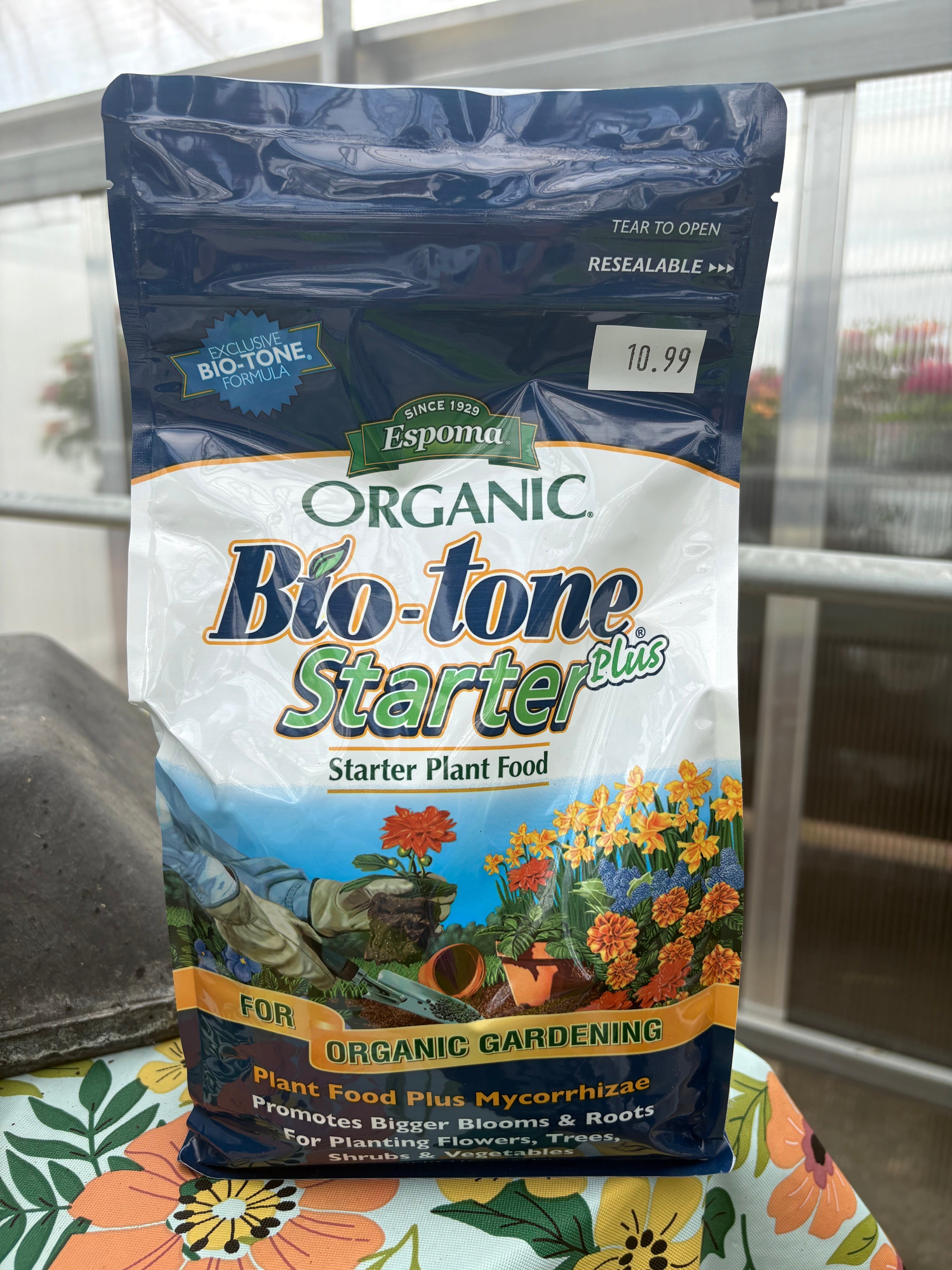 Proven Winners® Fire Light Tidbit® Hydrangea – Scheiderer Farms