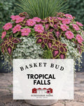 Basket Bud: Tropical Falls ~ Preorder for pickup 5/1-5/2