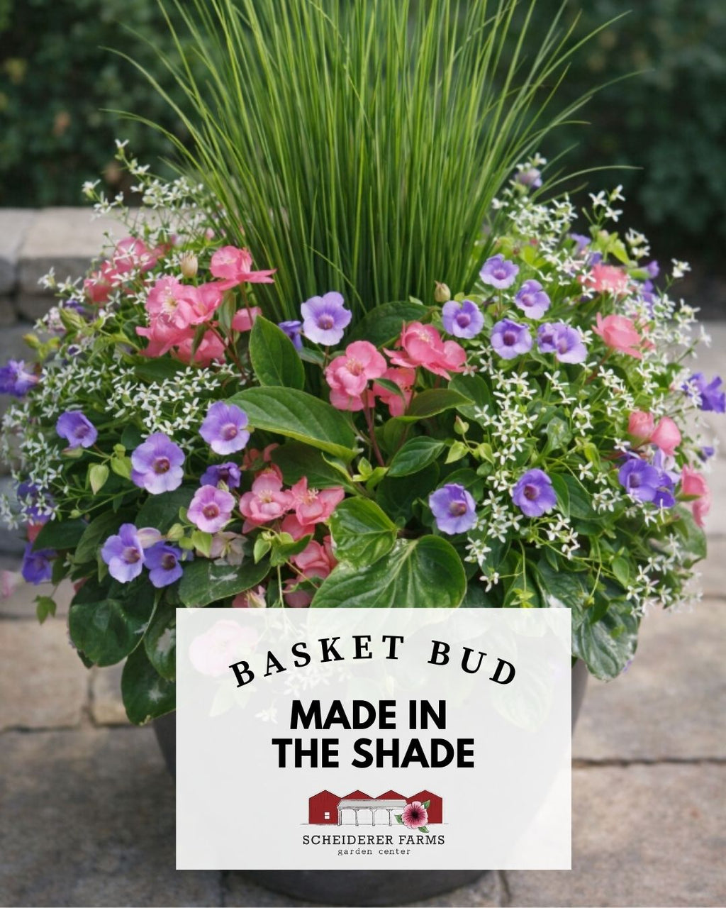 Basket Bud: Made in the Shade Pink ~ Preorder for pickup 5/1-5/2