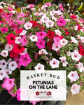 Basket Bud: Petunias on the Lane ~ Preorder for pickup 5/1-5/2