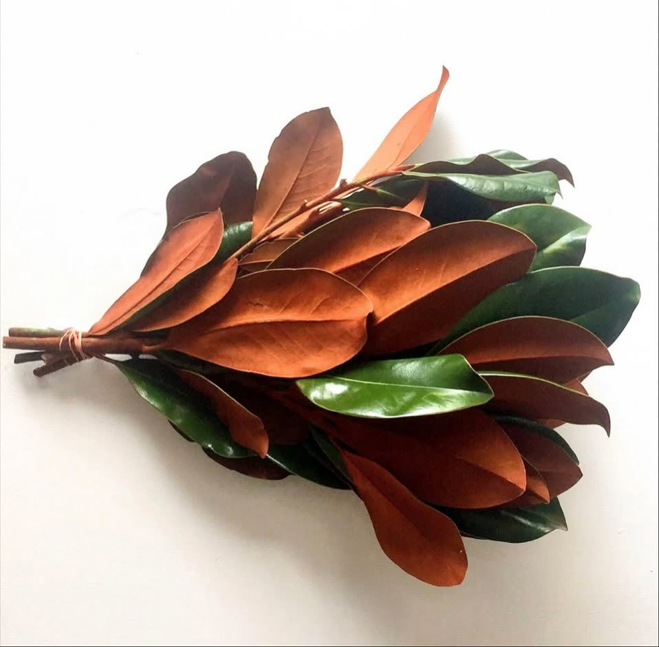 Magnolia Bundles ~ Preorder for Pickup 11/28