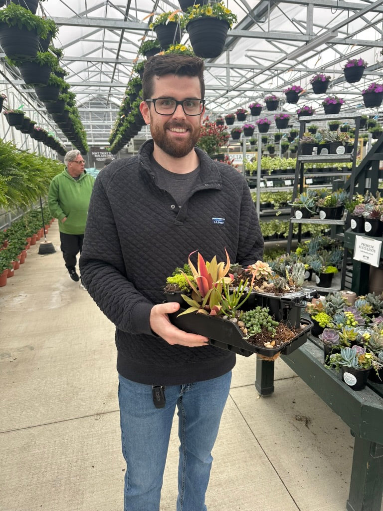 Succulent Container Workshop