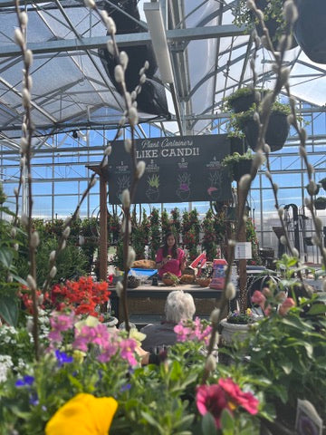 Succulent Container Workshop