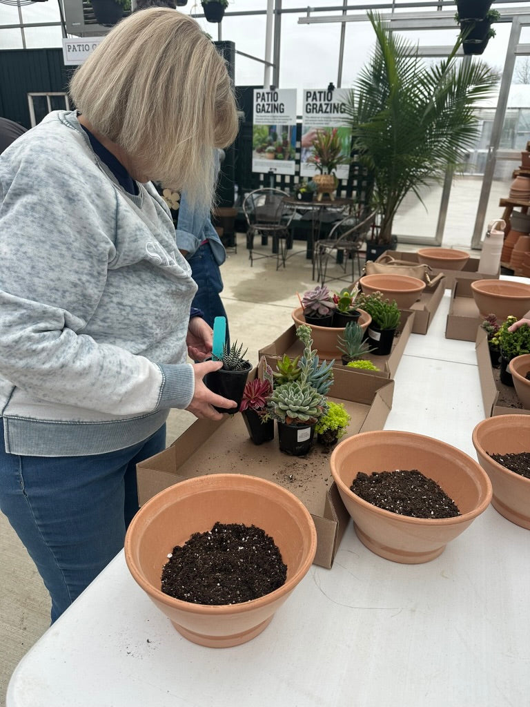 Succulent Container Workshop