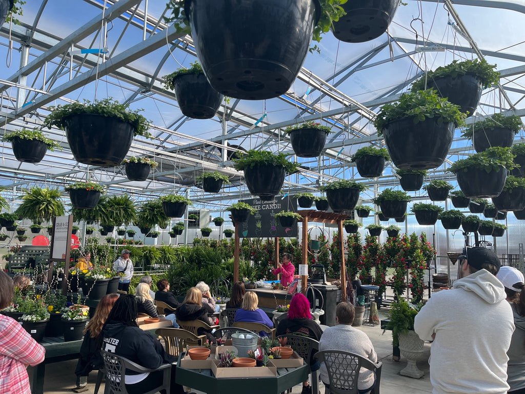 Succulent Container Workshop