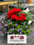 America’s 250th Celebration Grab & Go - Partial Shade - Preorder for Pickup