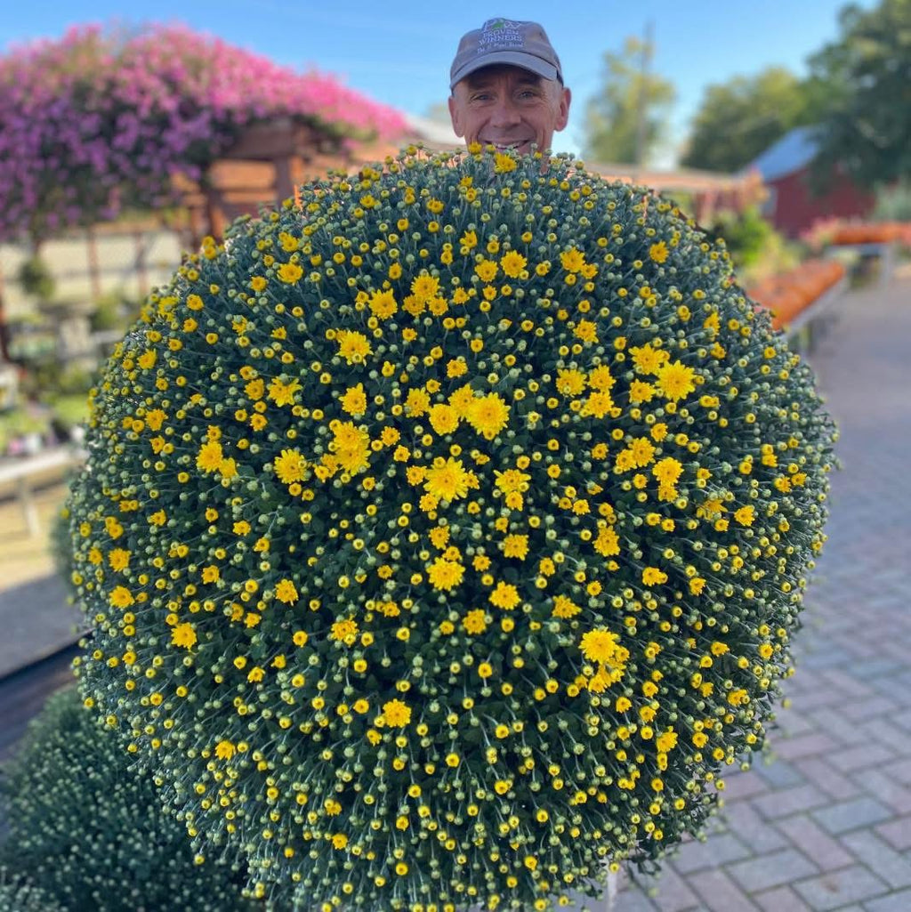 Monster Mums ~ Preorder Pickup 9/11-9/12