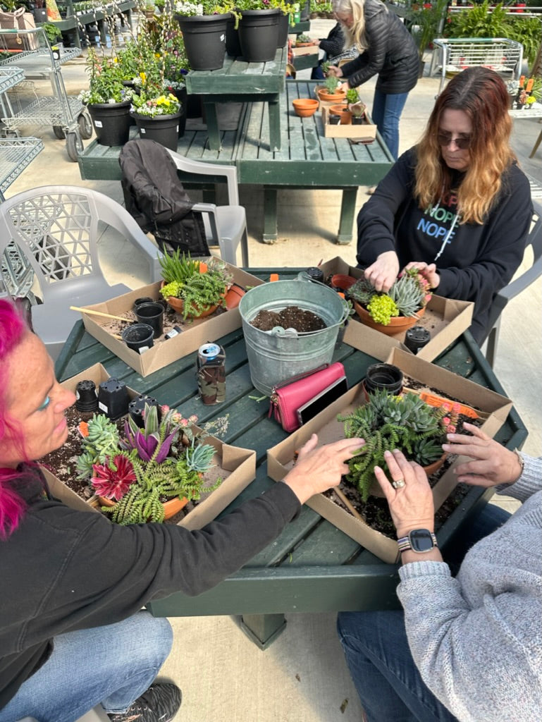Succulent Container Workshop