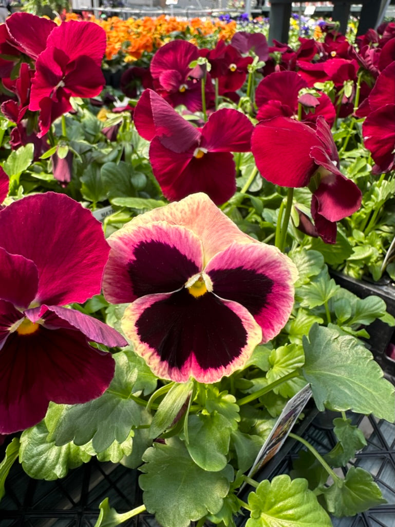 Spring Container Workshop