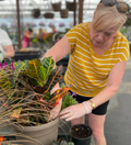 Fall Container Workshop
