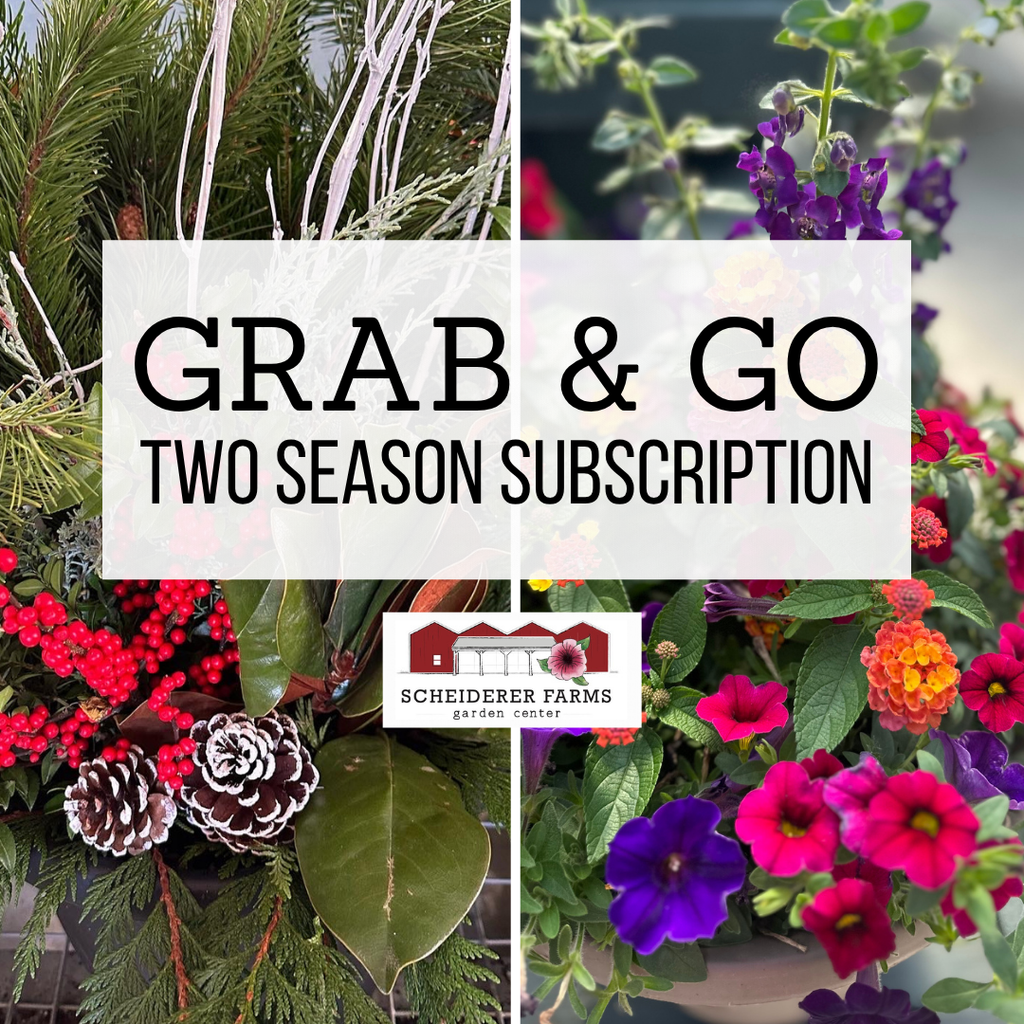 Grab & Go - Two Season Subscription