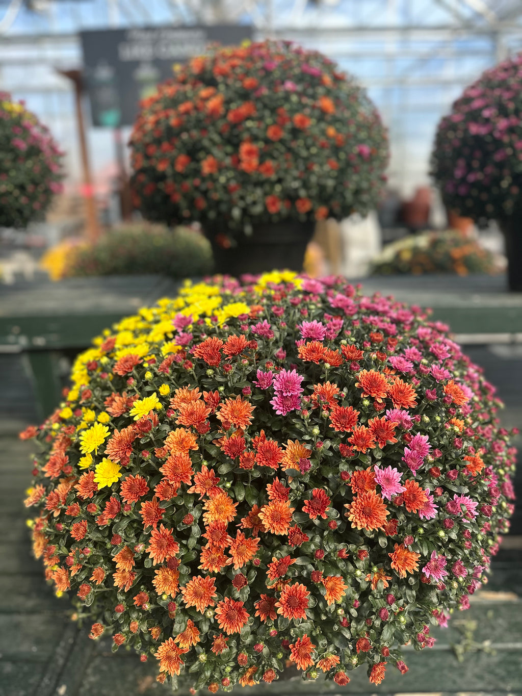 Fall Confetti Monster Mums