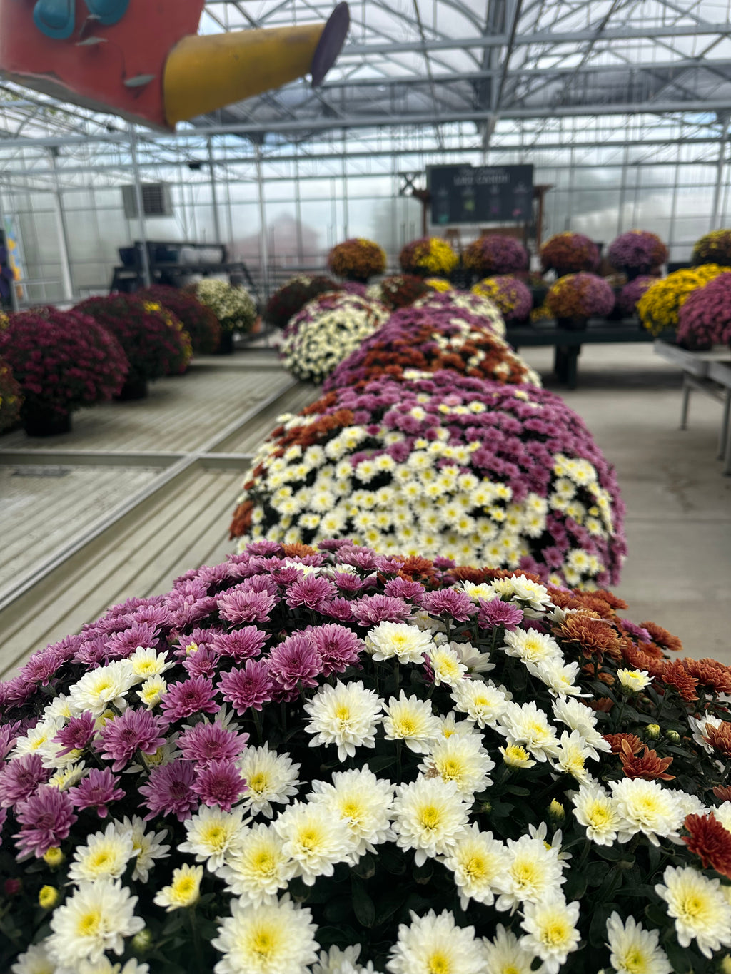 Fall Confetti Monster Mums