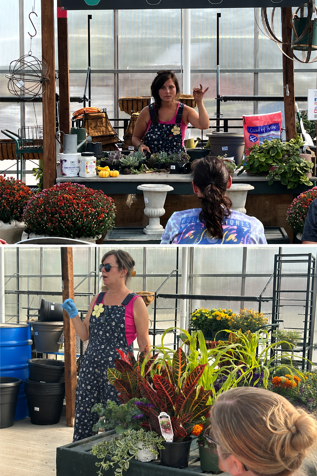 Fall Container Workshop