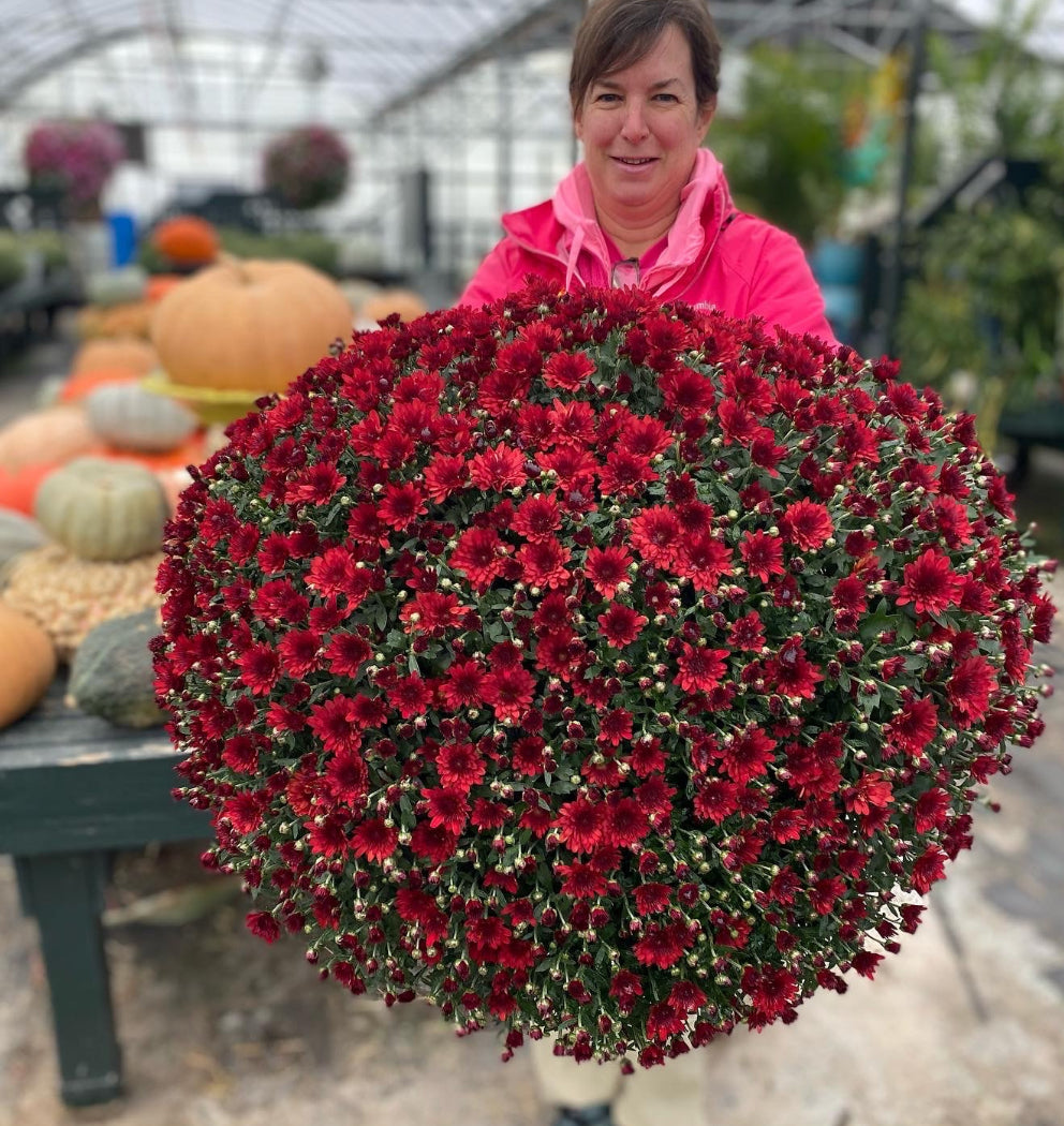 Lil' Monster Mums ~ Preorder for Pickup 9/11-9/12