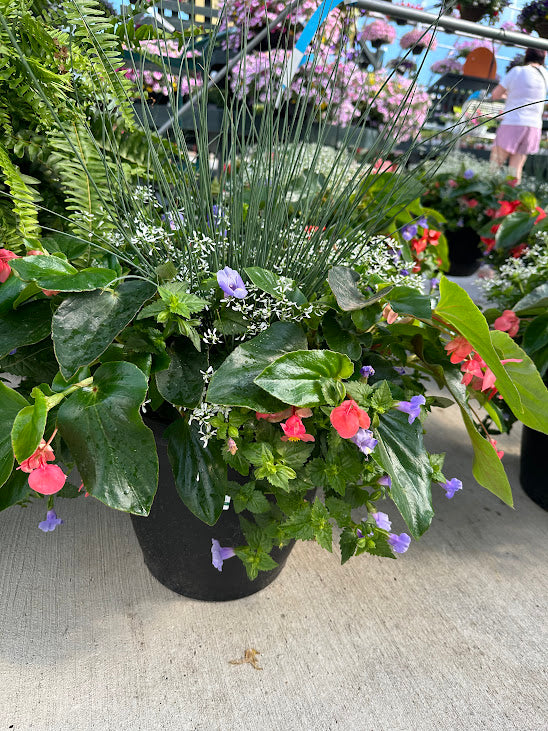 Basket Bud: Made in the Shade Pink ~ Preorder for pickup 5/1-5/2