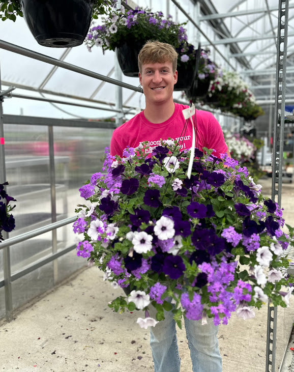 Hanging Basket: Purple Passion ~ Preorder for pickup 5/1-5/2