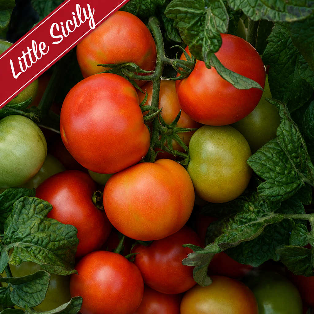 Patio Grazing Collection: Little Tomato series ~ Preorder for pickup