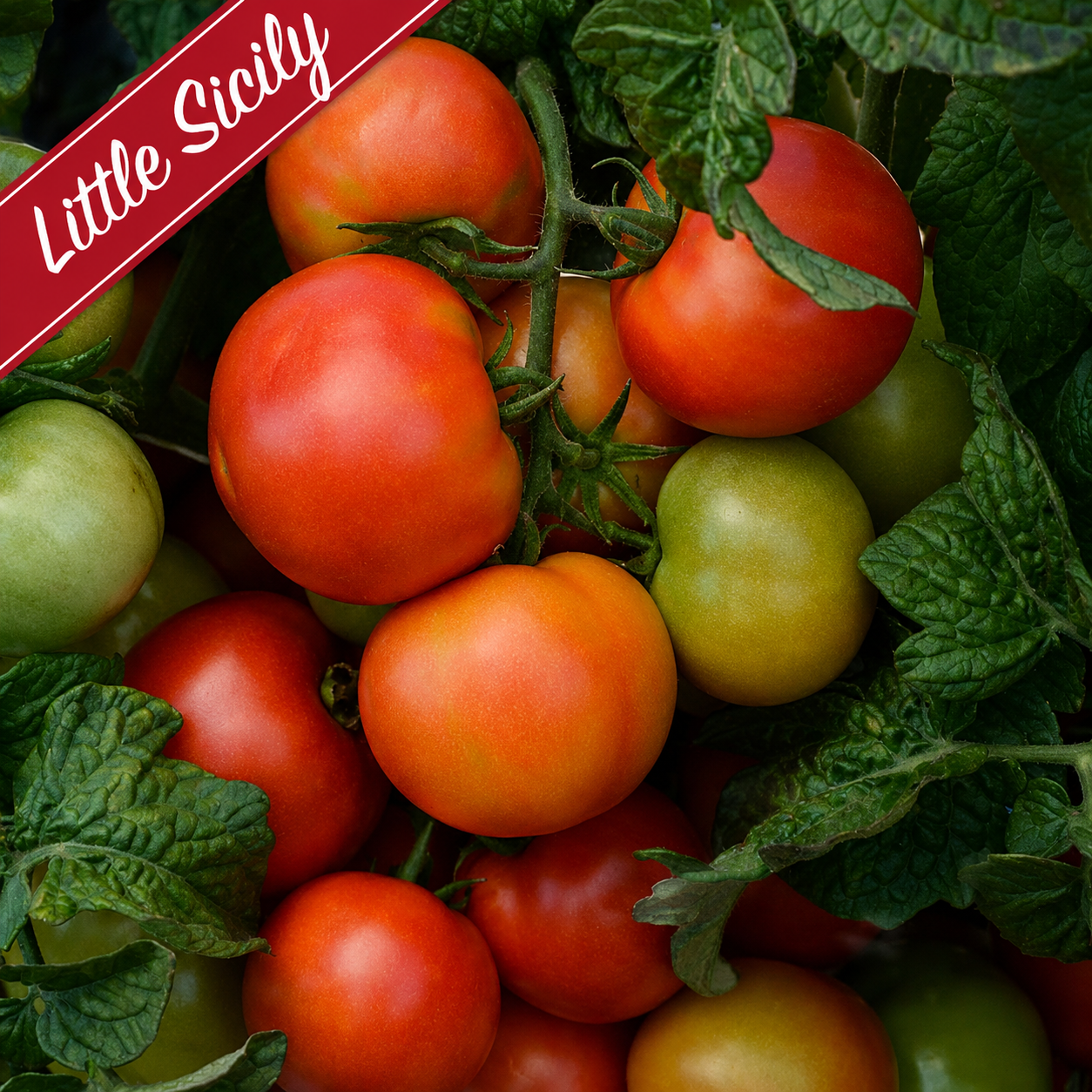 Patio Grazing Collection: Little Tomato series ~ Preorder for pickup 6/5-6/6